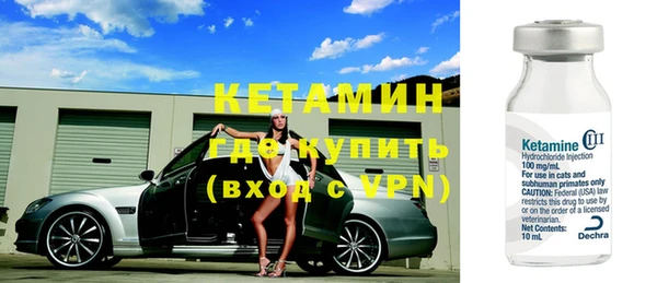прущие грибы Бородино