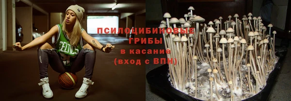 бутират Бугульма