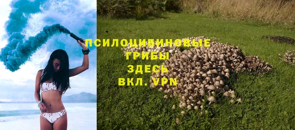 прущая мука Верхний Тагил