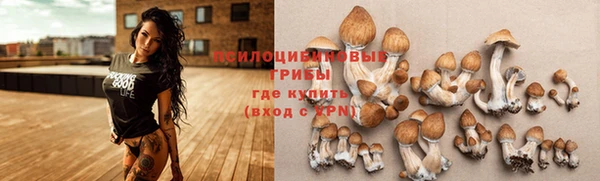 бутират Бугульма