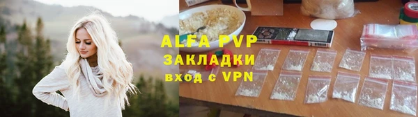 прущие грибы Бородино