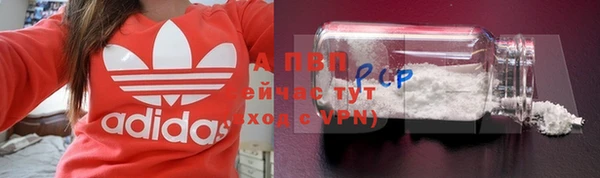 прущие грибы Бородино