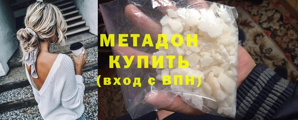 прущие грибы Бородино