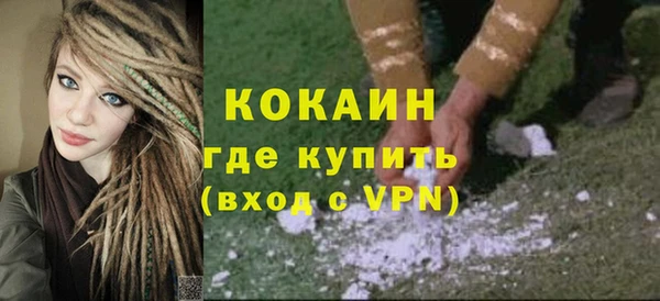 прущие грибы Бородино